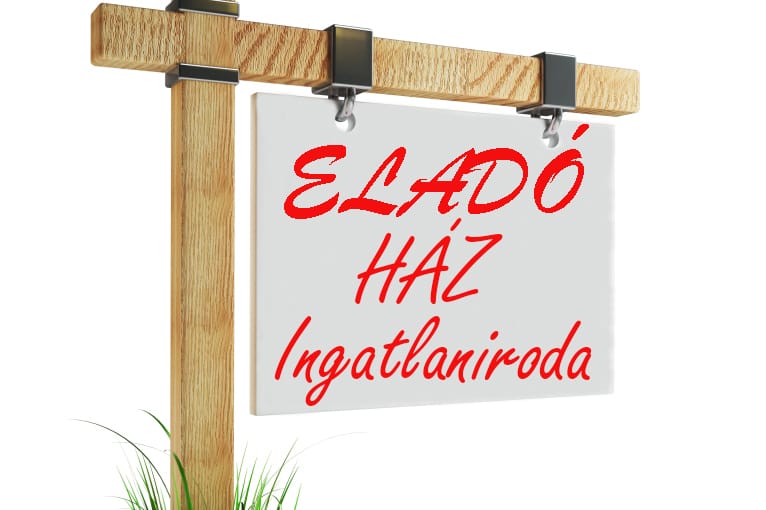 Kép